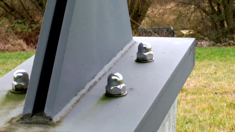 Reliable Interlachen, FL Mold Removal Solutions